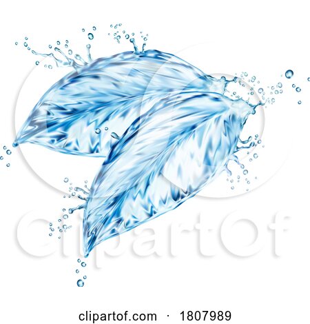 3d Water Splash Mint Leaves by Vector Tradition SM