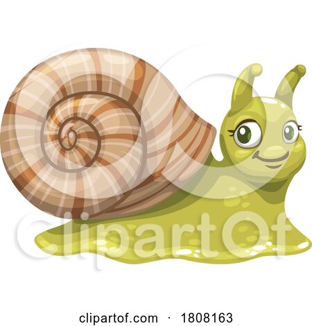 Cute Snail by Vector Tradition SM