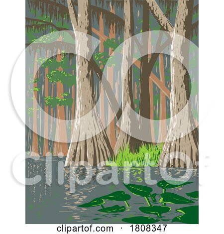 Everglades National Park in Florida USA WPA Poster Art by patrimonio