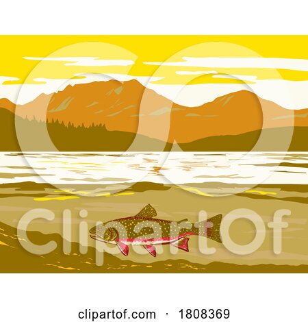 Brook Trout in Wind River Mountain Range Western Wyoming WPA Art by patrimonio
