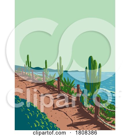 Boneyard Beach in Encinitas North County San Diego USA WPA Poster Art by patrimonio