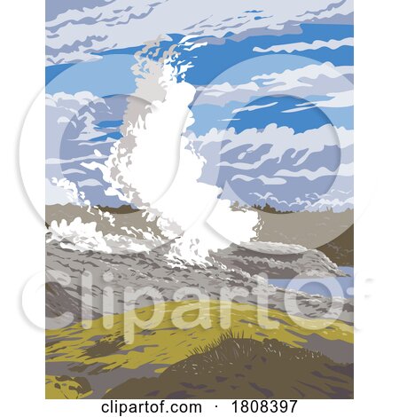 Pohutu Geyser in Whakarewarewa Thermal Reserve Rotorua New Zealand WPA Poster Art by patrimonio