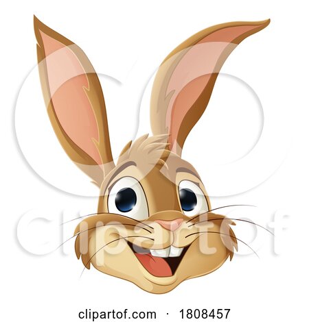 Easter Bunny Rabbit Cartoon Fun Animal Character by AtStockIllustration