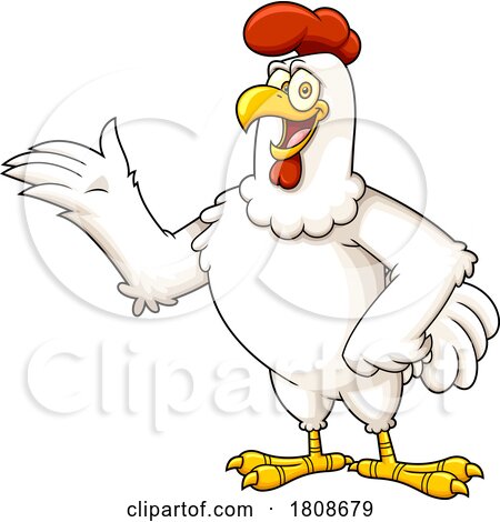 Cartoon Rooster Chicken Mascot Character Presenting by Hit Toon