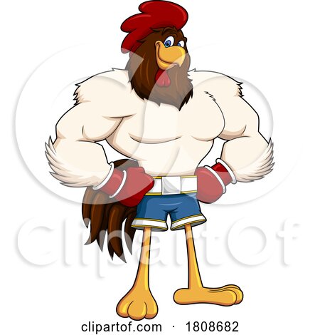 Cartoon Boxer Rooster Chicken Mascot Character by Hit Toon
