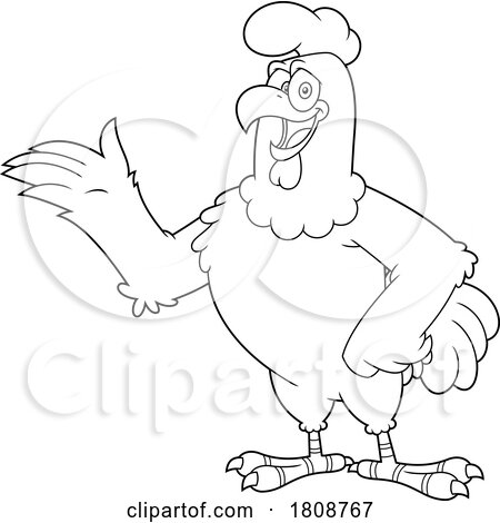 Cartoon Black and White Rooster Chicken Mascot Character Presenting by Hit Toon