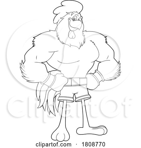 Cartoon Black and White Boxer Rooster Chicken Mascot Character by Hit Toon