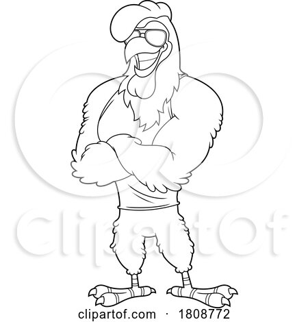 Cartoon Black and White Buff Rooster Chicken Mascot Character by Hit Toon