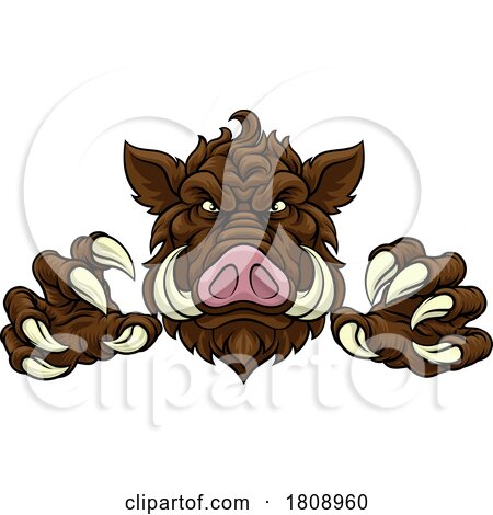 Boar Wild Hog Razorback Warthog Pig Sports Mascot by AtStockIllustration