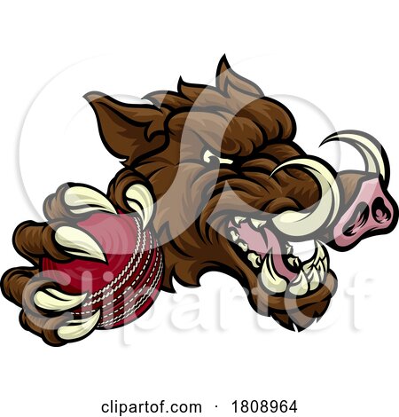 Boar Wild Hog Razorback Warthog Pig Cricket Mascot by AtStockIllustration