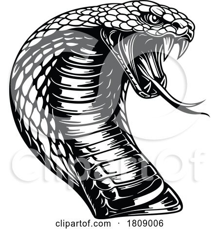 Black and White Cobra Snake by dero