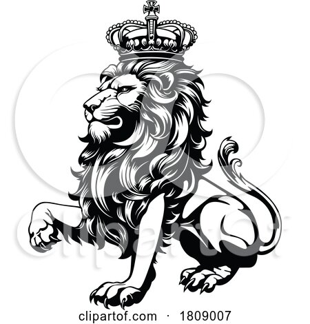 Black and White King Lion by dero