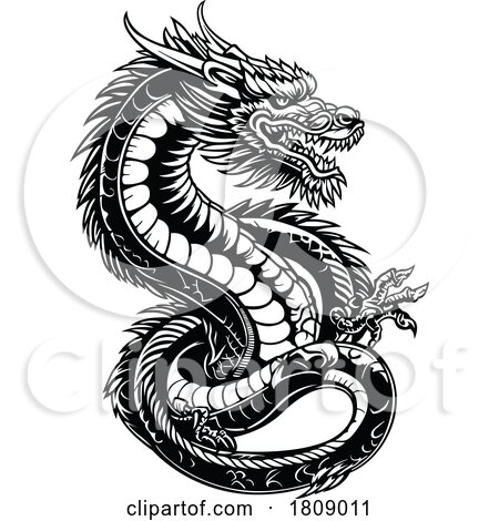 Black and White Chinese Dragon by dero