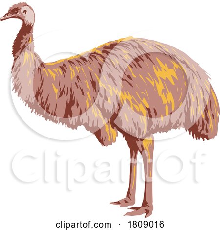 Emu Side View Isolated Background Art Deco WPA Poster Art by patrimonio