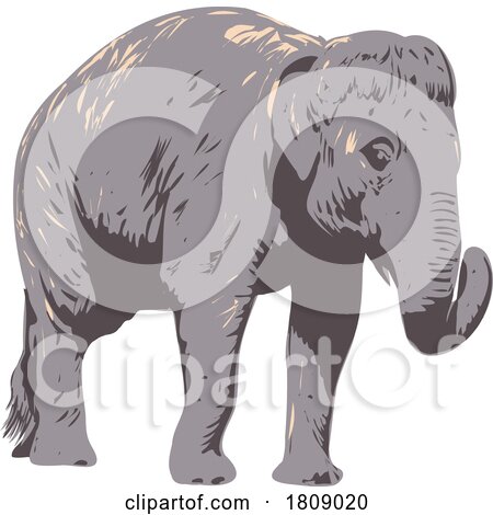 Indian Elephant Side View Isolated Background WPA Art by patrimonio