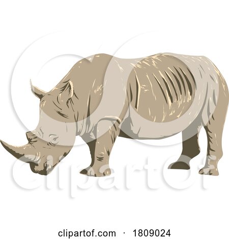 White Rhinoceros Side View Isolated Background WPA Poster Art by patrimonio