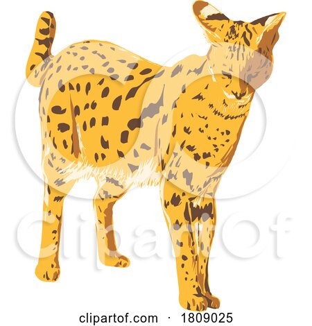 Serval or Leptailurus Serval Side View Isolated Background Art Deco WPA Poster Art by patrimonio
