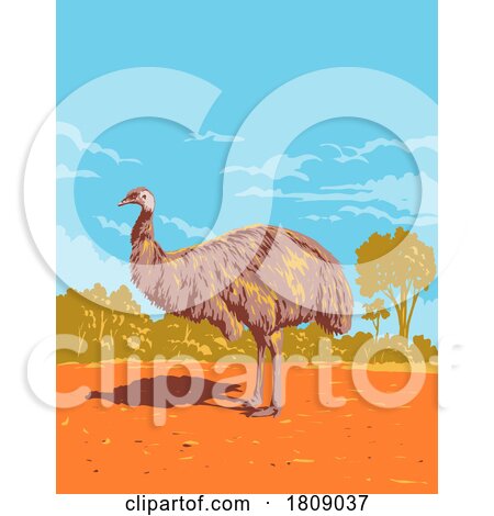 Emu in Gundabooka National Park in Outback NSW Australia Art Deco WPA Poster Art by patrimonio