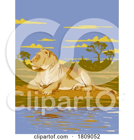 Lioness in Hwange National Park Zimbabwe Africa Art Deco WPA Poster Art by patrimonio