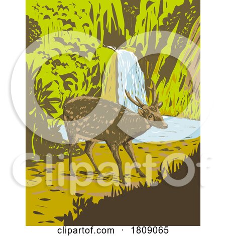 Visayan Spotted Deer in the Rainforests of the Philippines Art Deco WPA Poster Art by patrimonio