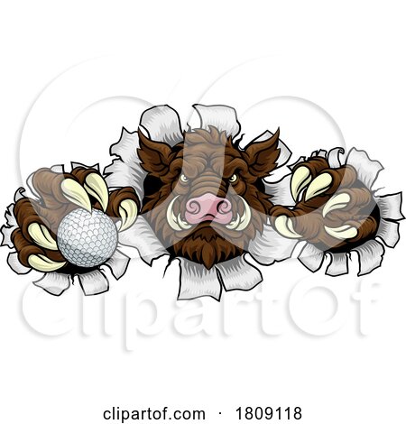Boar Wild Hog Razorback Warthog Pig Golf Mascot by AtStockIllustration