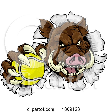 Boar Wild Hog Razorback Warthog Pig Tennis Mascot by AtStockIllustration