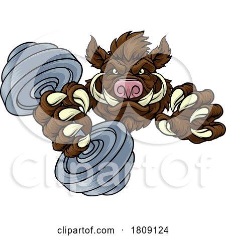 Boar Wild Razorback Warthog Weight Lifting Mascot by AtStockIllustration