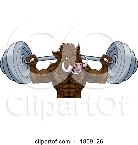 Boar Razorback Hog Weight Lifting Gym Mascot by AtStockIllustration