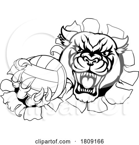 Panther Jaguar Leopard Volleyball Ball Claw Mascot by AtStockIllustration