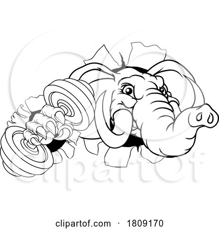 Elephant Weight Lifting Dumbbell Gym Mascot by AtStockIllustration