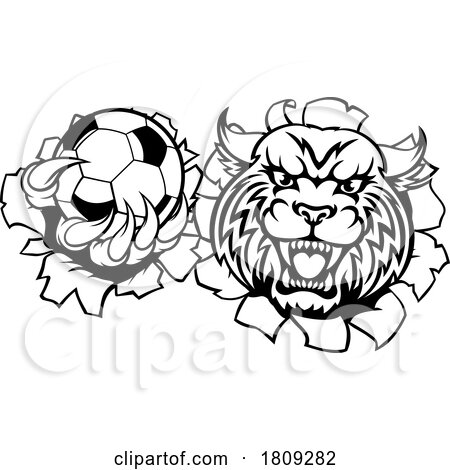 Wildcat Bobcat Cat Cougar Soccer Football Mascot by AtStockIllustration