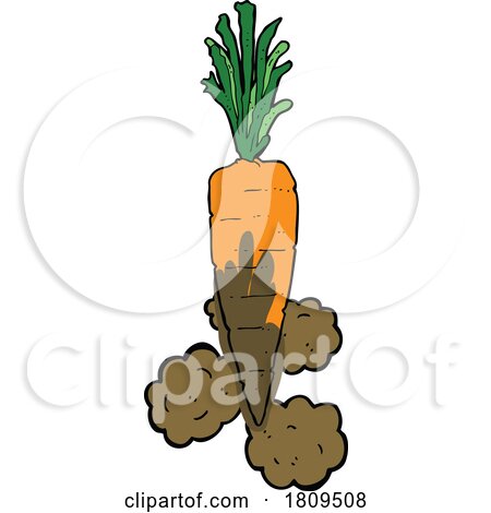 Cartoon Fresh Muddy Carrot by lineartestpilot