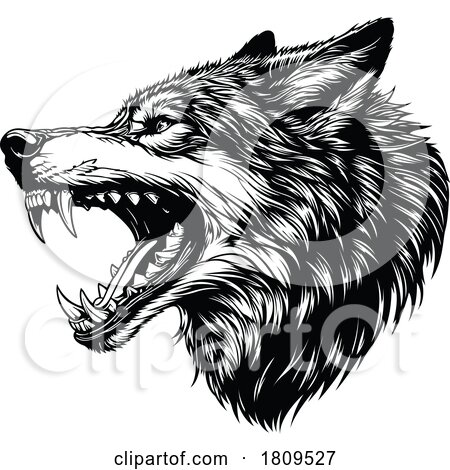 Black and White Defensive Wolf by dero