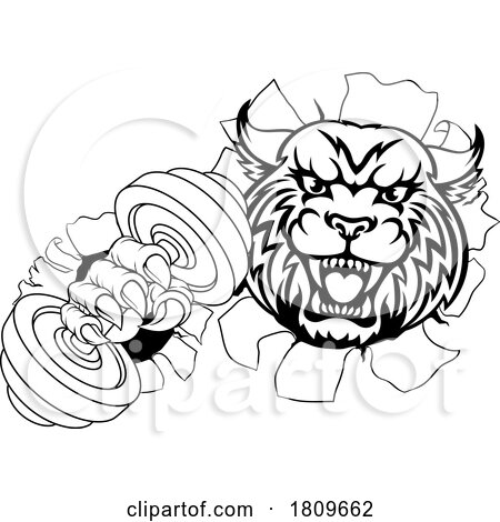 Wildcat Cougar Lynx Lion Weight Lifting Gym Mascot by AtStockIllustration