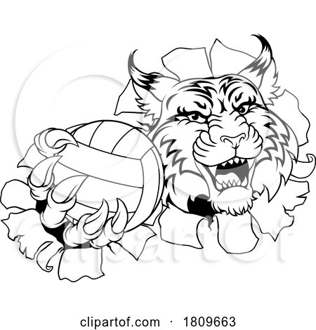 Wildcat Cougar Lynx Lion Volleyball Claw Mascot by AtStockIllustration