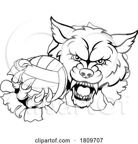 Wolf Werewolf Volleyball Volley Ball Claw Mascot by AtStockIllustration