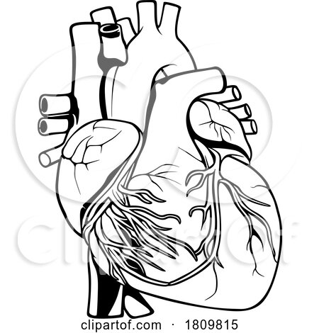 Black and White Human Heart by dero