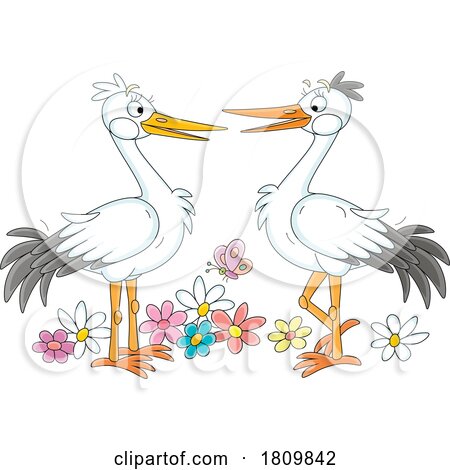 Licensed Clipart Cartoon Stork Pair by Alex Bannykh