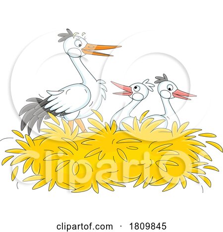 Licensed Clipart Cartoon Stork and Chicks in a Nest by Alex Bannykh