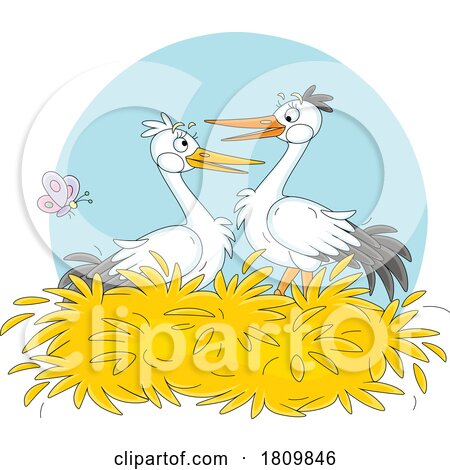 Licensed Clipart Cartoon Stork Pair in a Nest by Alex Bannykh