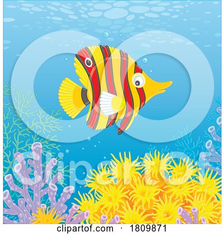 Licensed Clipart Cartoon Swimming Striped Butterfly Fish by Alex Bannykh