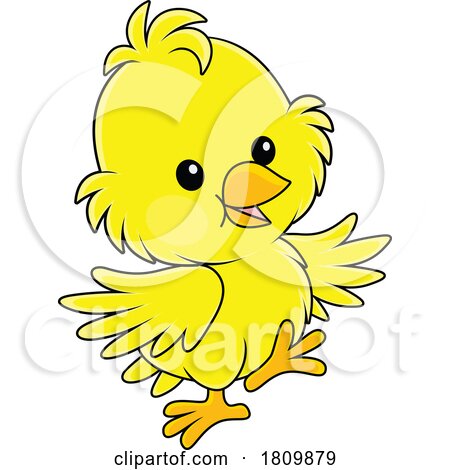 Licensed Clipart Cartoon Chick by Alex Bannykh