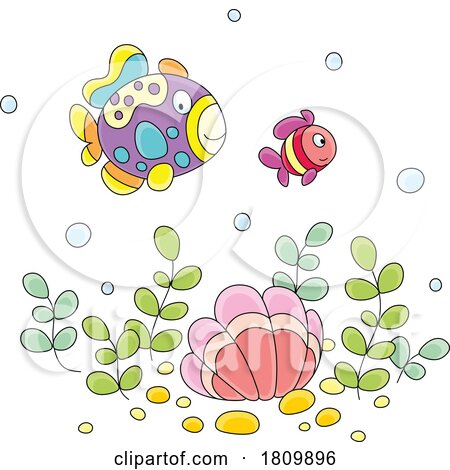 Licensed Clipart Cartoon Fish over a Shell by Alex Bannykh