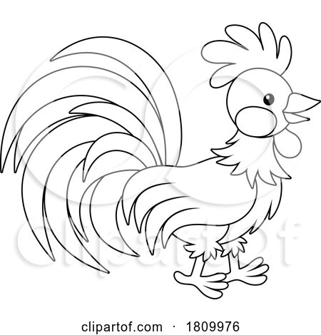 Licensed Clipart Cartoon Rooster by Alex Bannykh