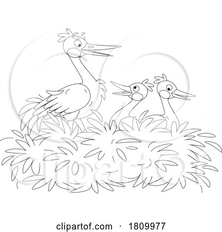 Licensed Clipart Cartoon Stork and Chicks in a Nest by Alex Bannykh