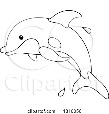 Licensed Clipart Cartoon Dolphin by Alex Bannykh