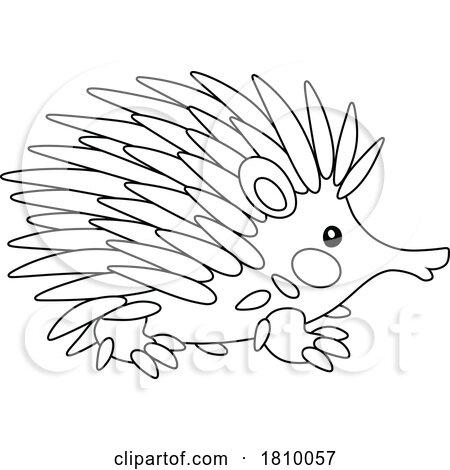 Licensed Clipart Cartoon Hedgehog by Alex Bannykh