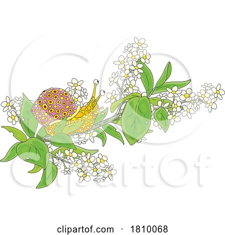Licensed Clipart Cartoon Snail on a Blossoming Branch by Alex Bannykh