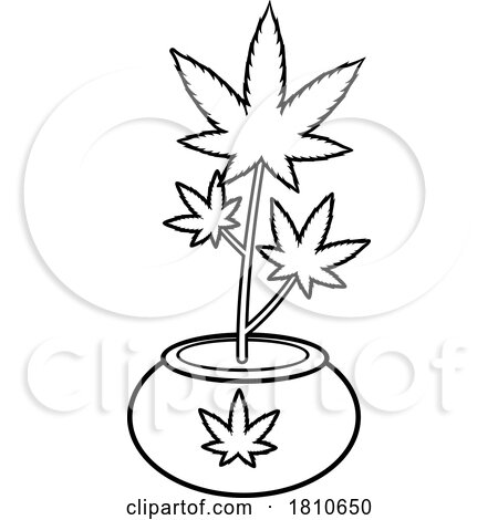 Pot Plant Black and White Clipart Cartoon by Hit Toon