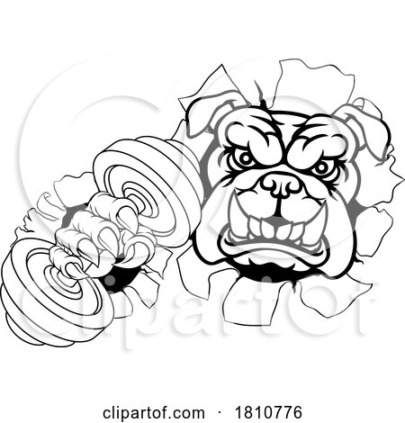 Bulldog Dog Weight Lifting Dumbbell Gym Mascot by AtStockIllustration